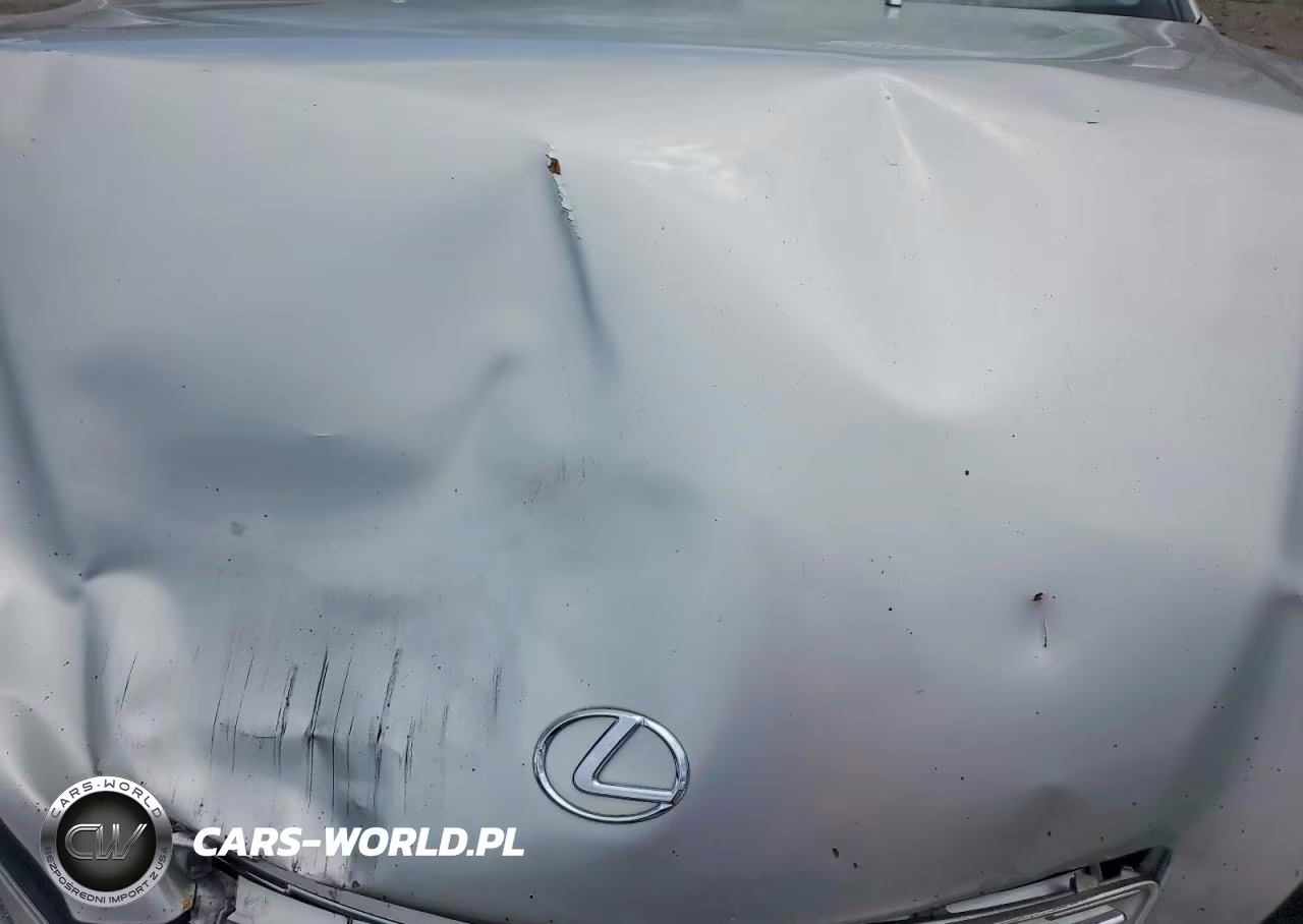2004 Lexus Es 330 VIN:JTHBA30G245041855 - 11