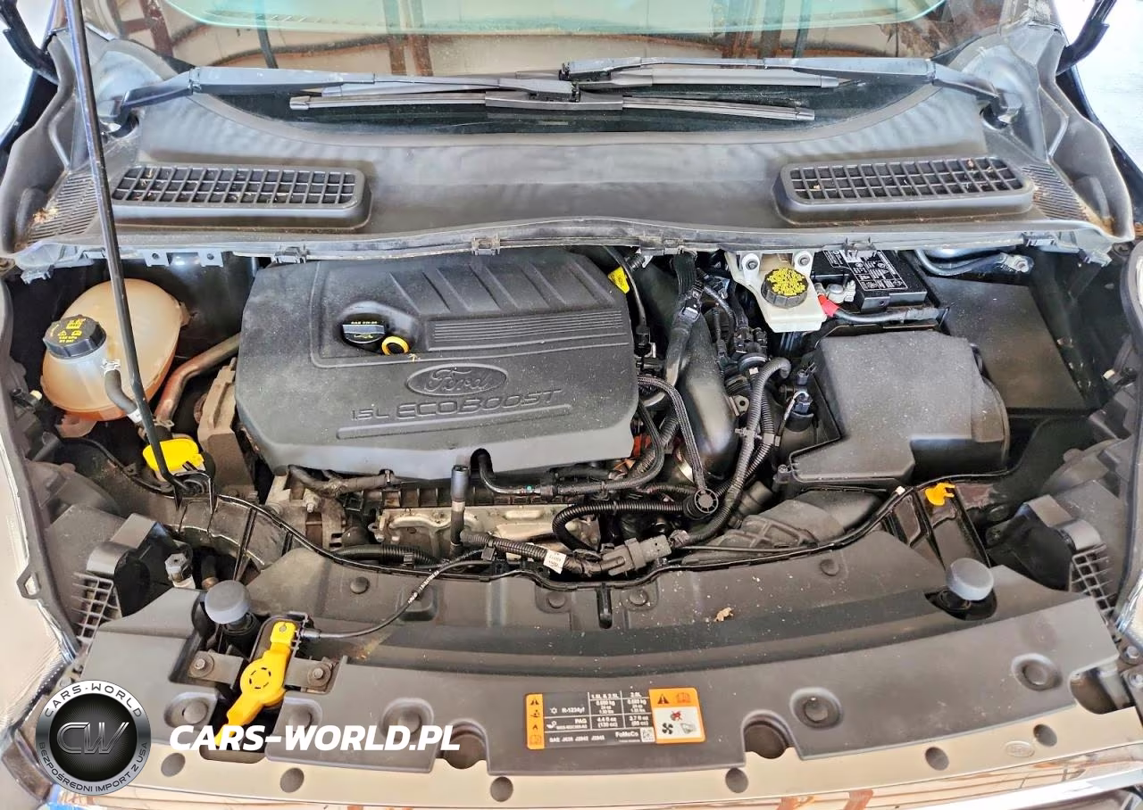2017 Ford Escape Se VIN:1FMCU0GD3HUC74383 - 12