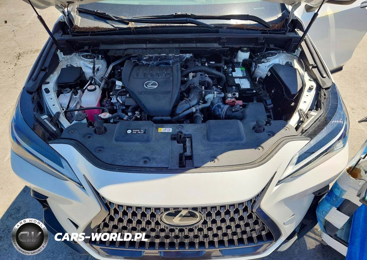2022 Lexus Nx 350 Premium VIN:2T2GGCEZ1NC011570 - 12