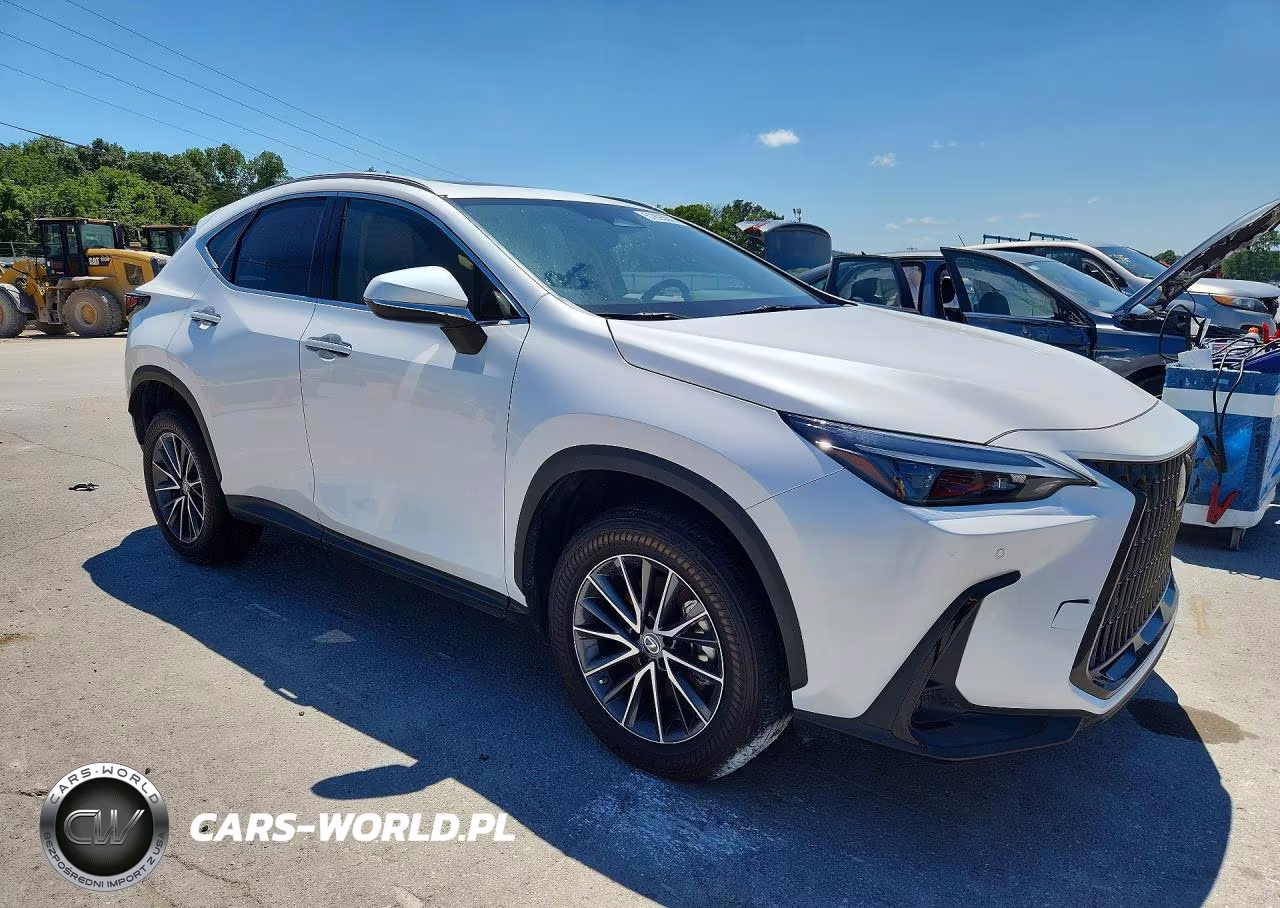 2022 Lexus Nx 350 Premium VIN:2T2GGCEZ1NC011570 - 4