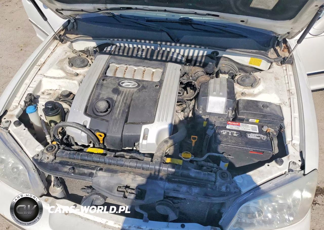2004 Hyundai Xg 350 VIN:KMHFU45E24A328459 - 11