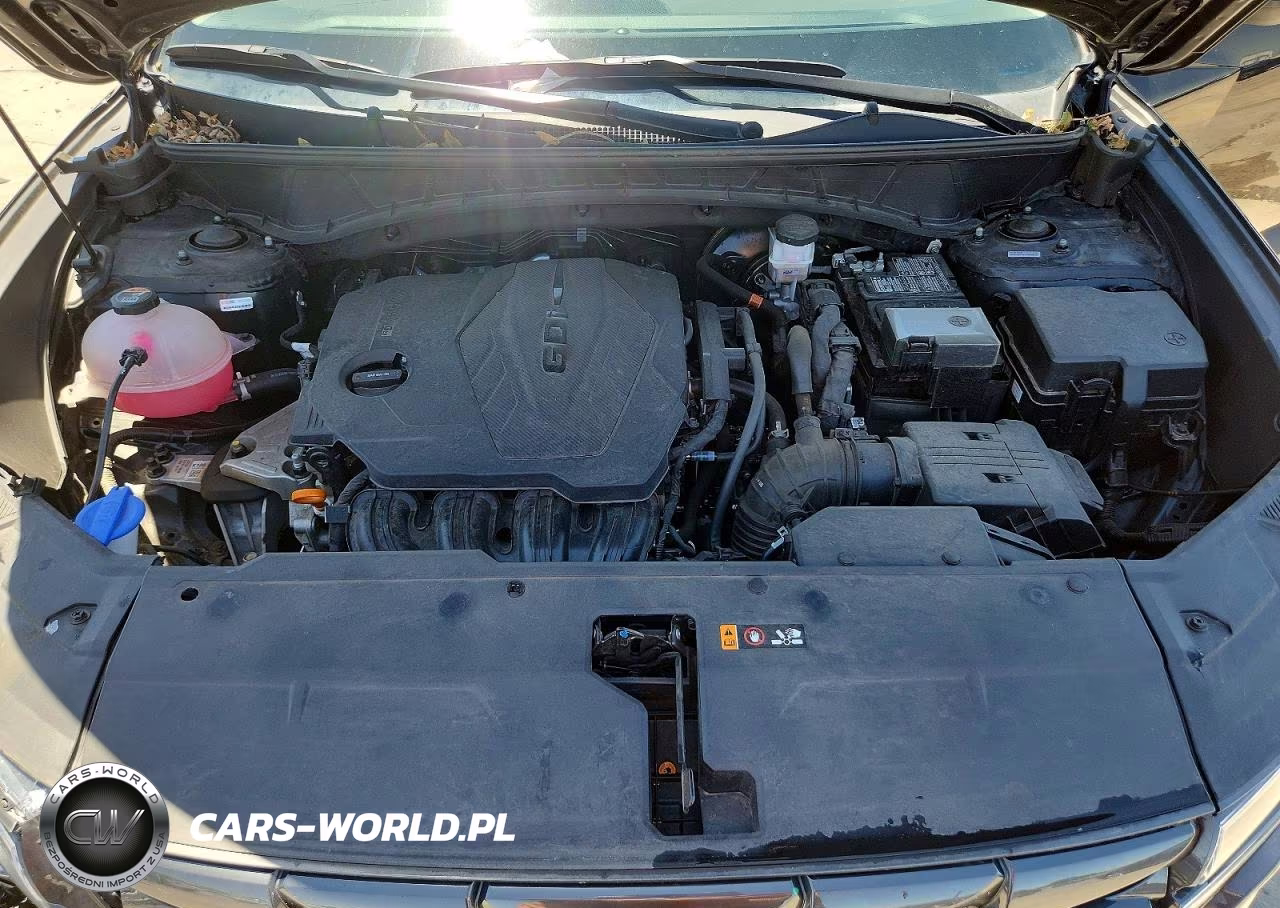 2024 Hyundai Tucson Sel VIN:5NMJFCDE4RH365997 - 12