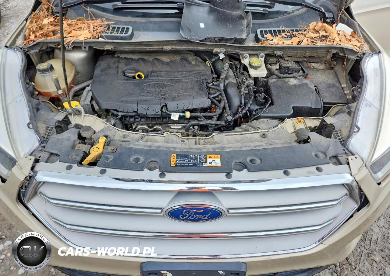 2018 Ford Escape Se VIN:1FMCU0GD0JUB88809 - 12