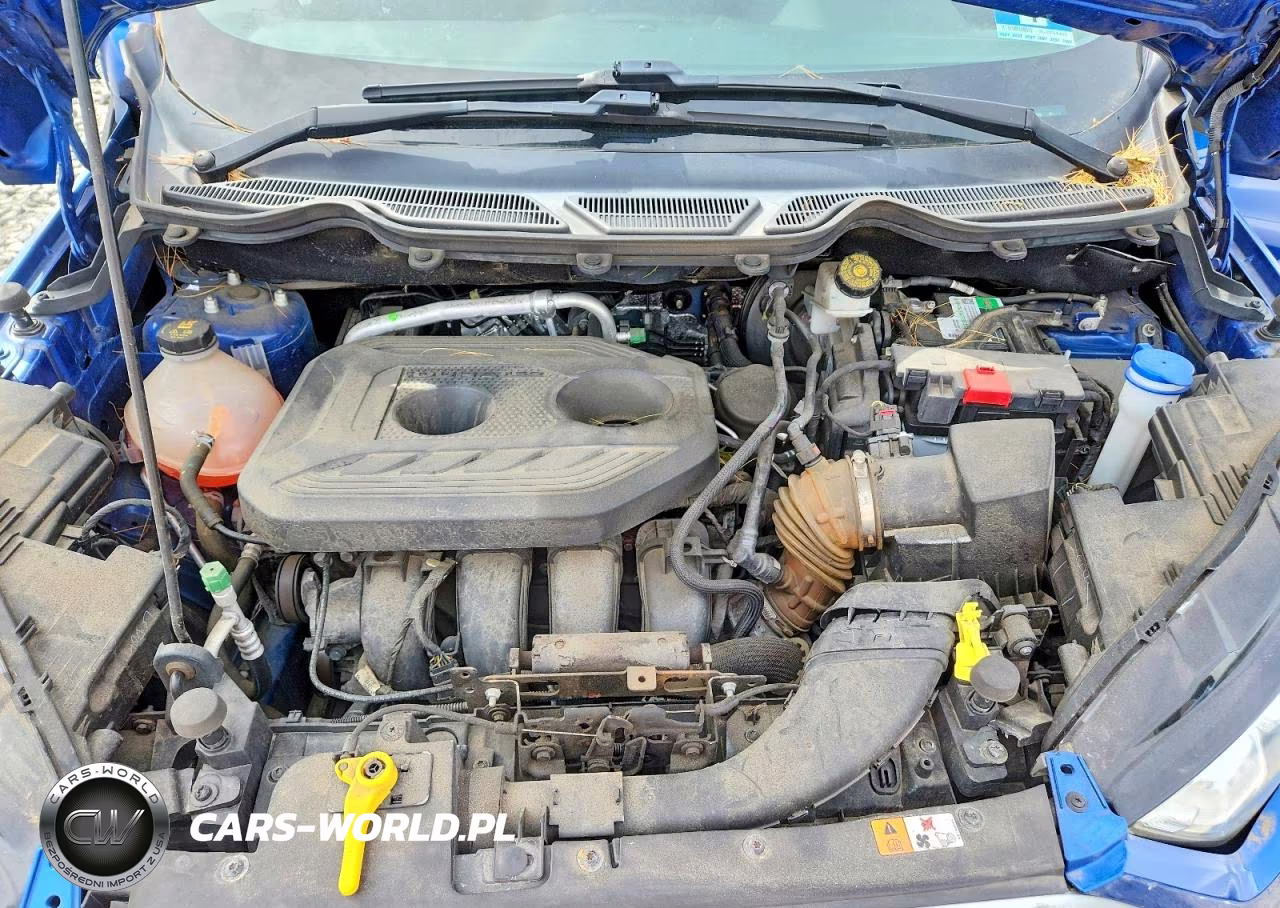 2018 Ford Ecosport Se VIN:MAJ6P1UL9JC192783 - 12