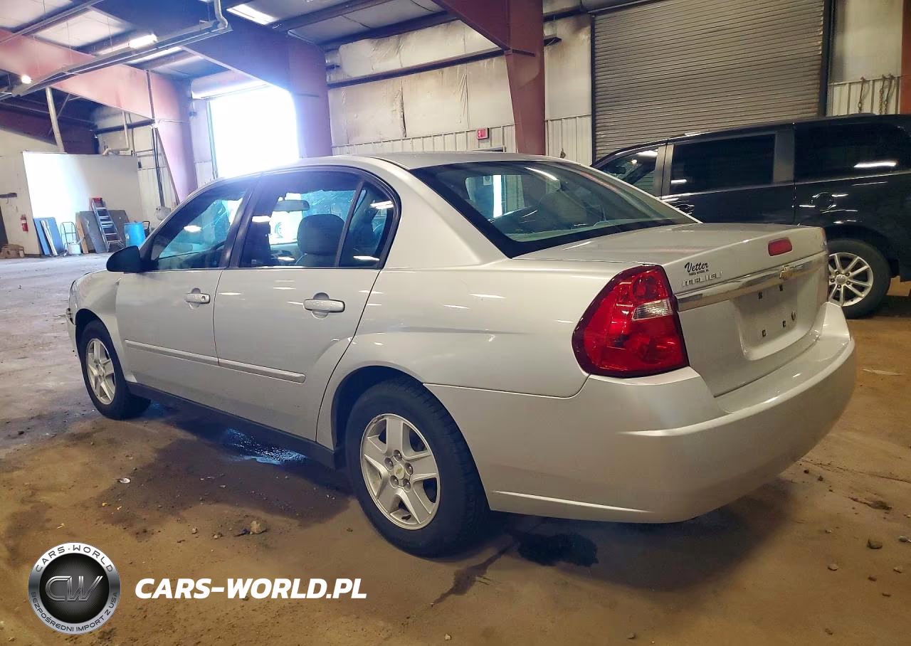 2005 Chevrolet Malibu Ls VIN:1G1ZT52835F338455 - 2