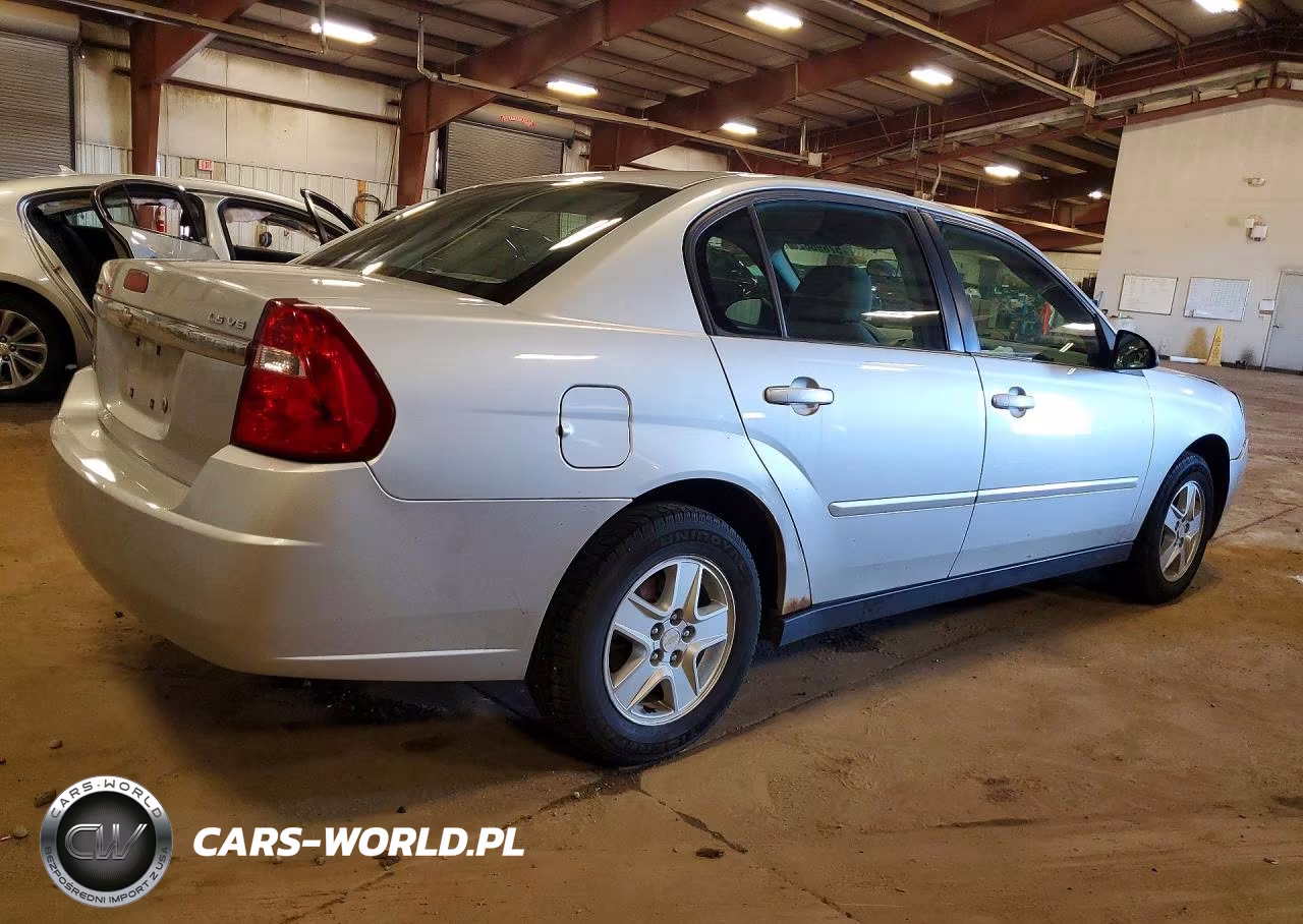 2005 Chevrolet Malibu Ls VIN:1G1ZT52835F338455 - 3