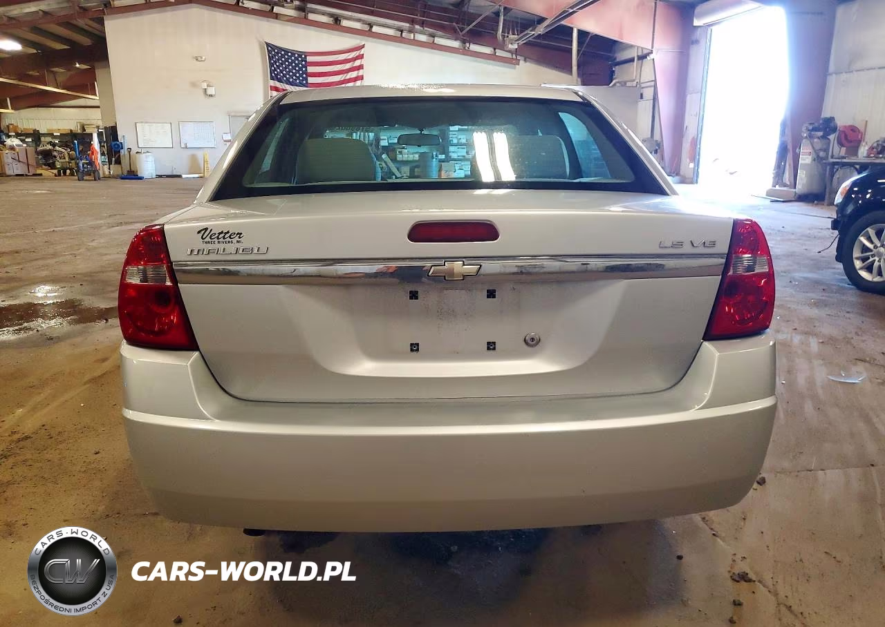 2005 Chevrolet Malibu Ls VIN:1G1ZT52835F338455 - 6