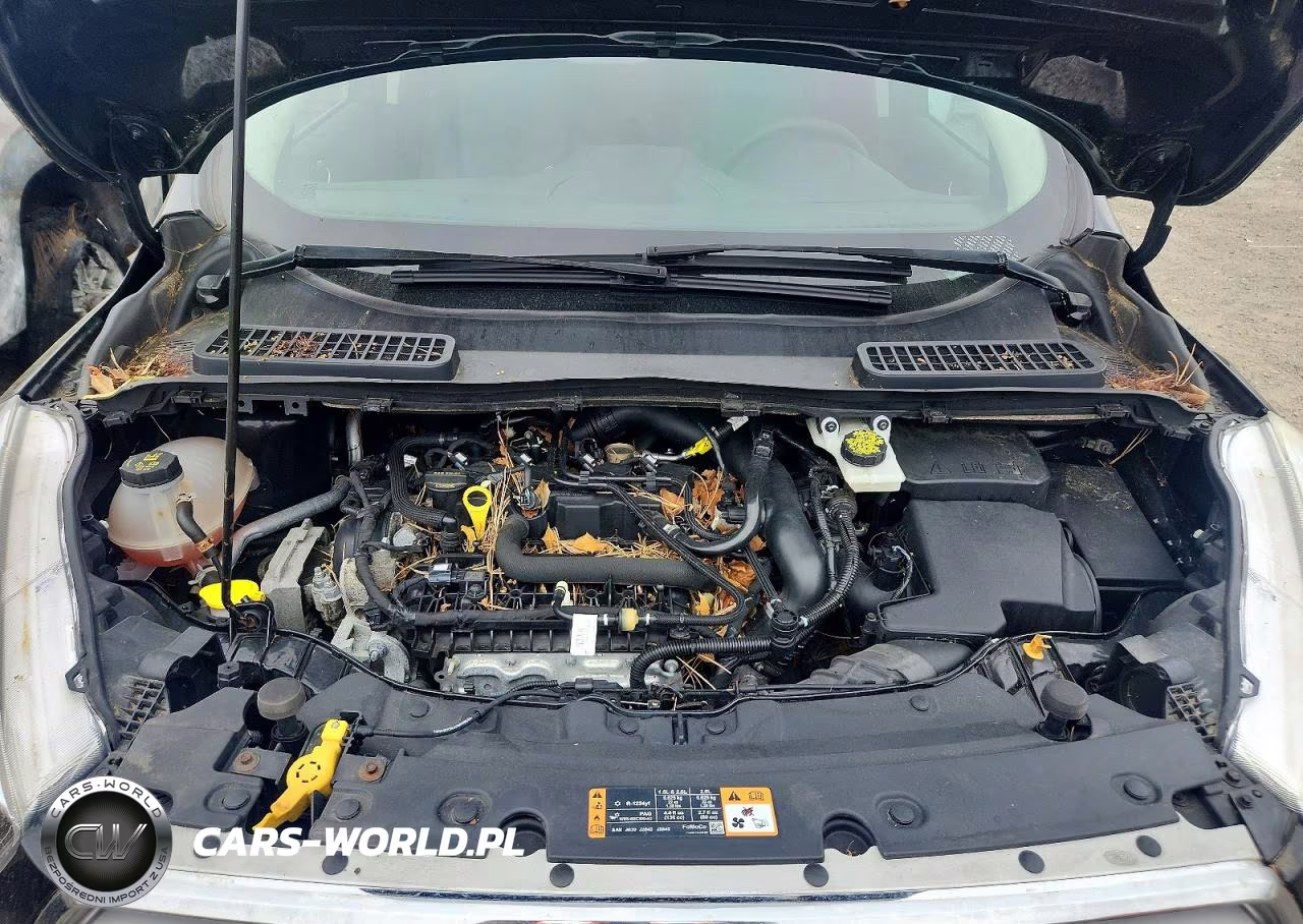 2019 Ford Escape Se VIN:1FMCU9GD6KUB18169 - 12