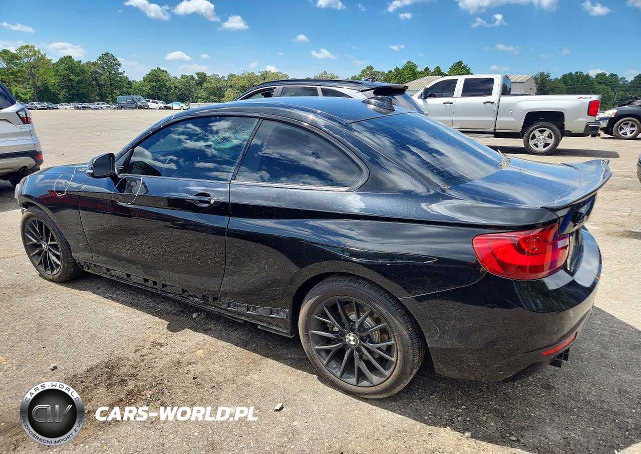 2016 BMW 228 Xi Sulev VIN:WBA1G9C54GV599622 - 2