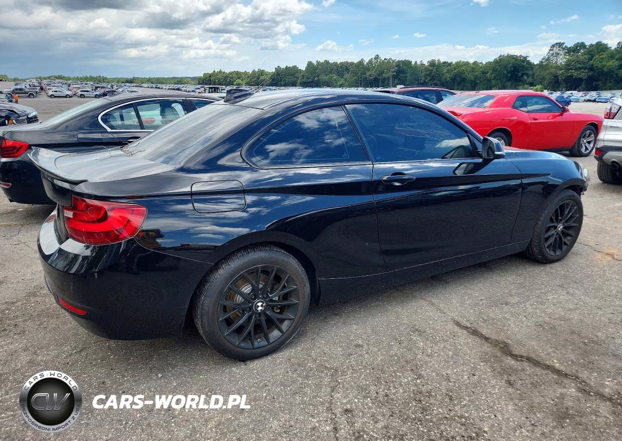 2016 BMW 228 Xi Sulev VIN:WBA1G9C54GV599622 - 3