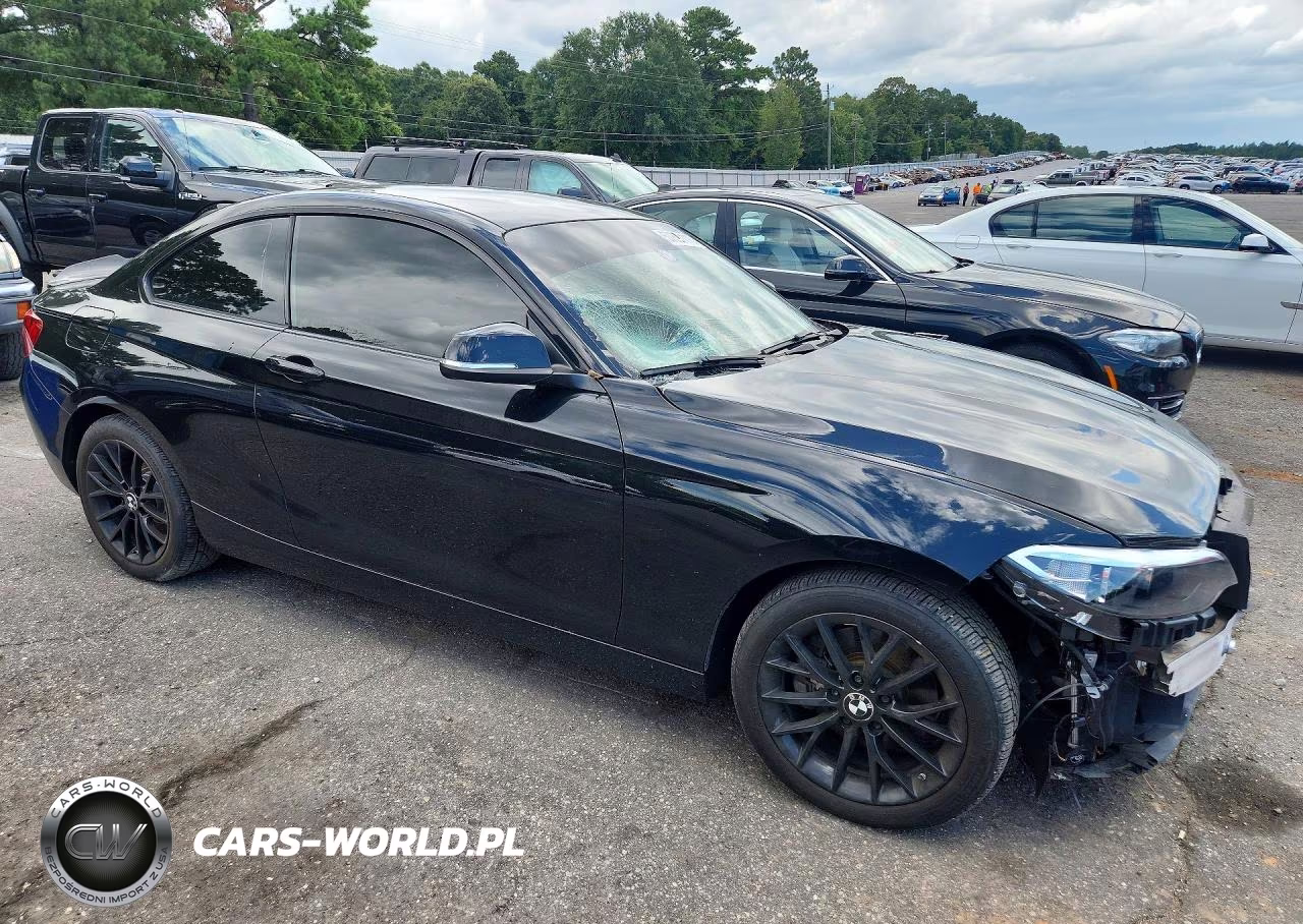 2016 BMW 228 Xi Sulev VIN:WBA1G9C54GV599622 - 4