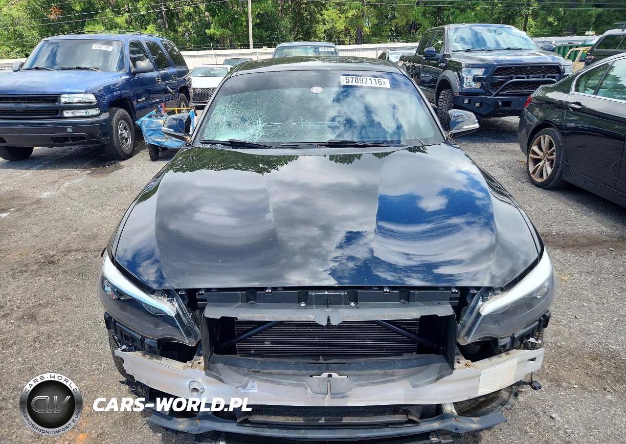 2016 BMW 228 Xi Sulev VIN:WBA1G9C54GV599622 - 5