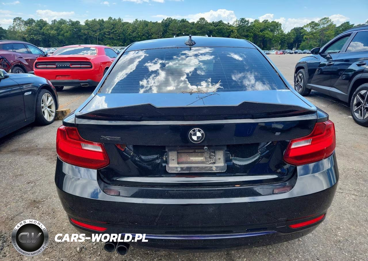 2016 BMW 228 Xi Sulev VIN:WBA1G9C54GV599622 - 6