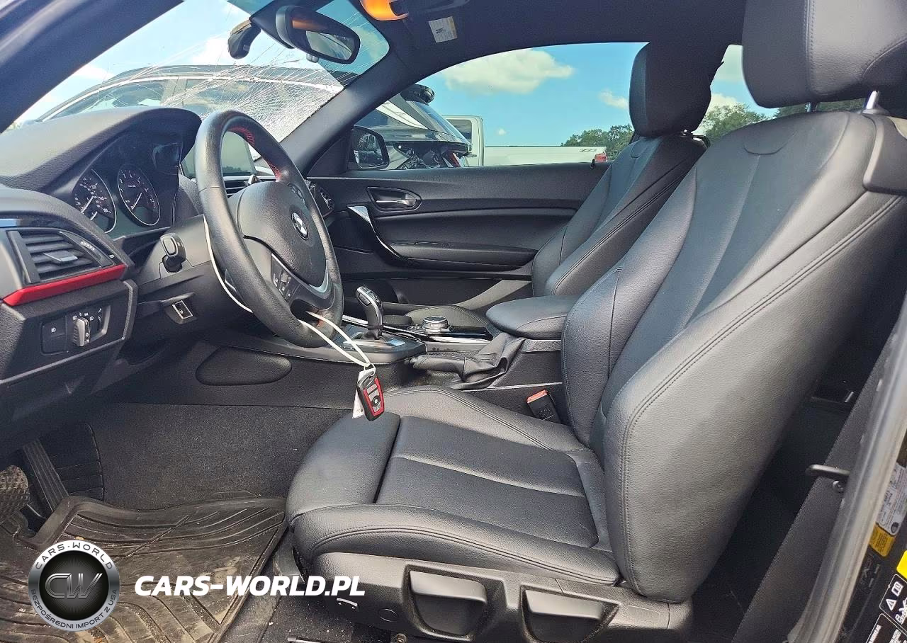 2016 BMW 228 Xi Sulev VIN:WBA1G9C54GV599622 - 7