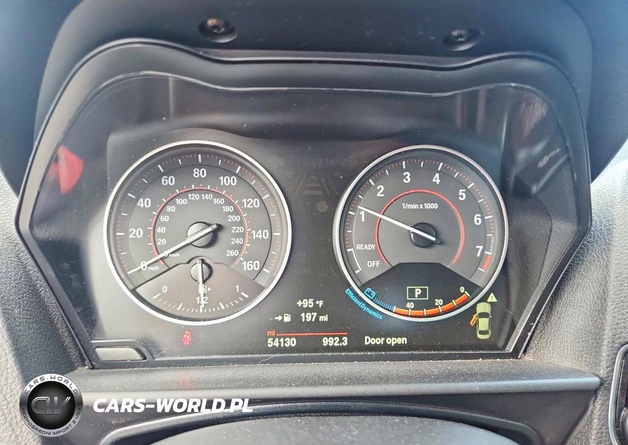 2016 BMW 228 Xi Sulev VIN:WBA1G9C54GV599622 - 9