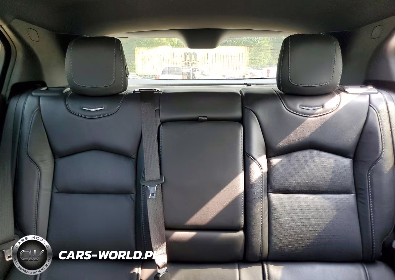 2020 Cadillac Xt4 Premium Luxury VIN:1GYFZCR45LF121240 - 10