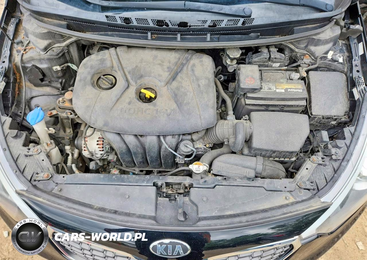 2016 Kia Forte Lx VIN:KNAFK4A64G5533848 - 11