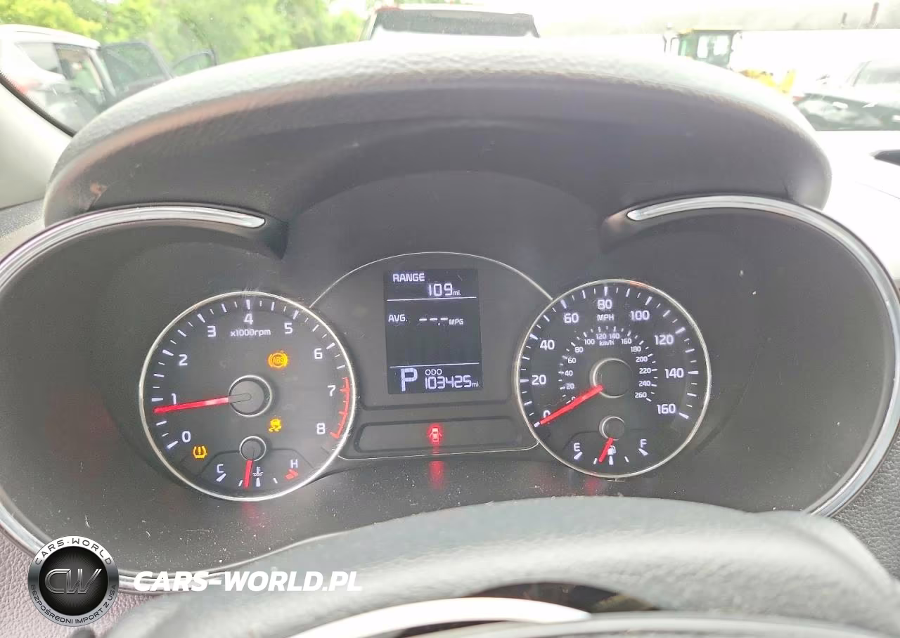 2016 Kia Forte Lx VIN:KNAFK4A64G5533848 - 9