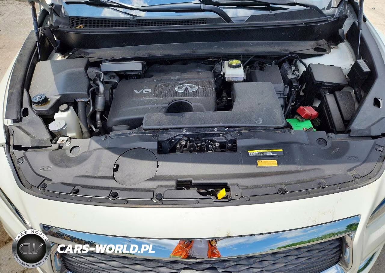 2020 Infiniti Qx60 Luxe VIN:5N1DL0MM0LC521563 - 12