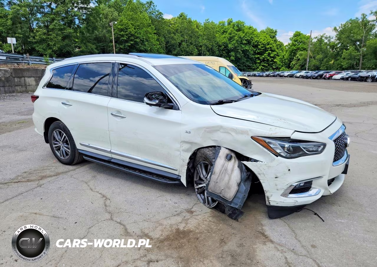 2020 Infiniti Qx60 Luxe VIN:5N1DL0MM0LC521563 - 4