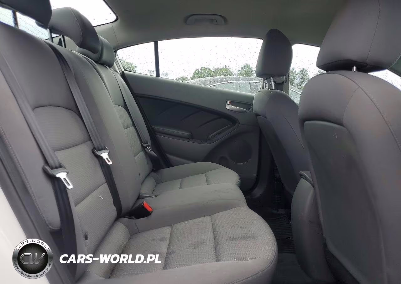 2018 Kia Forte Lx VIN:3KPFK4A77JE165205 - 10
