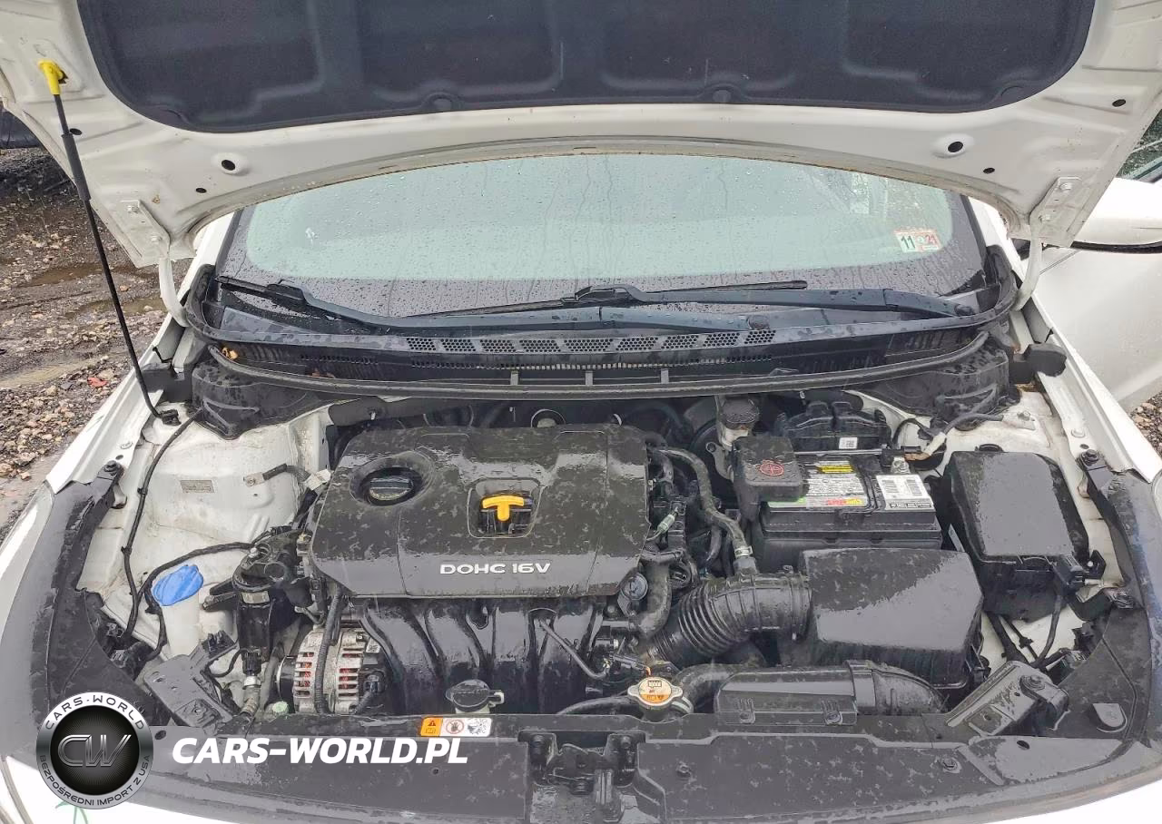 2018 Kia Forte Lx VIN:3KPFK4A77JE165205 - 11