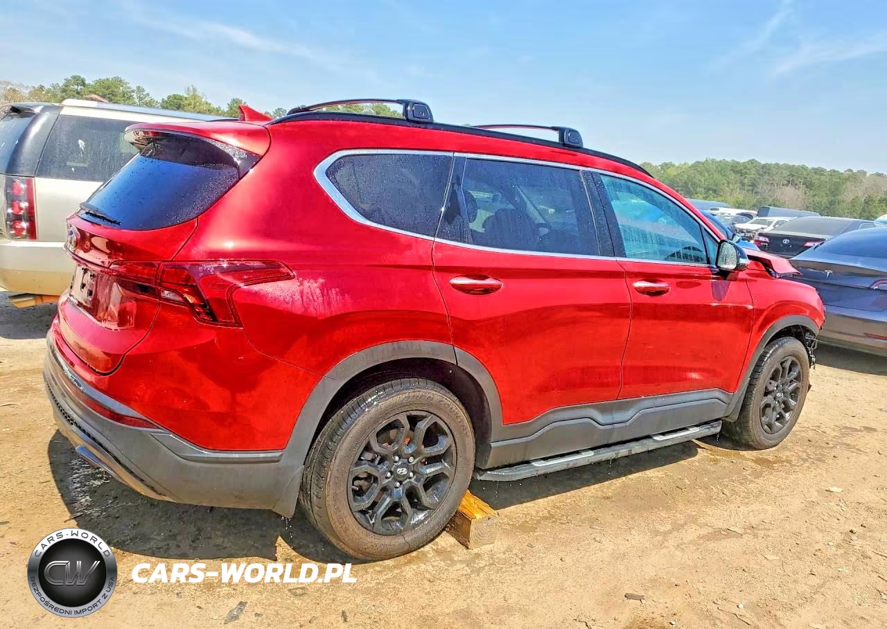 2023 Hyundai Santa Fe Xrt VIN:5NMS64AJXPH491791 - 3