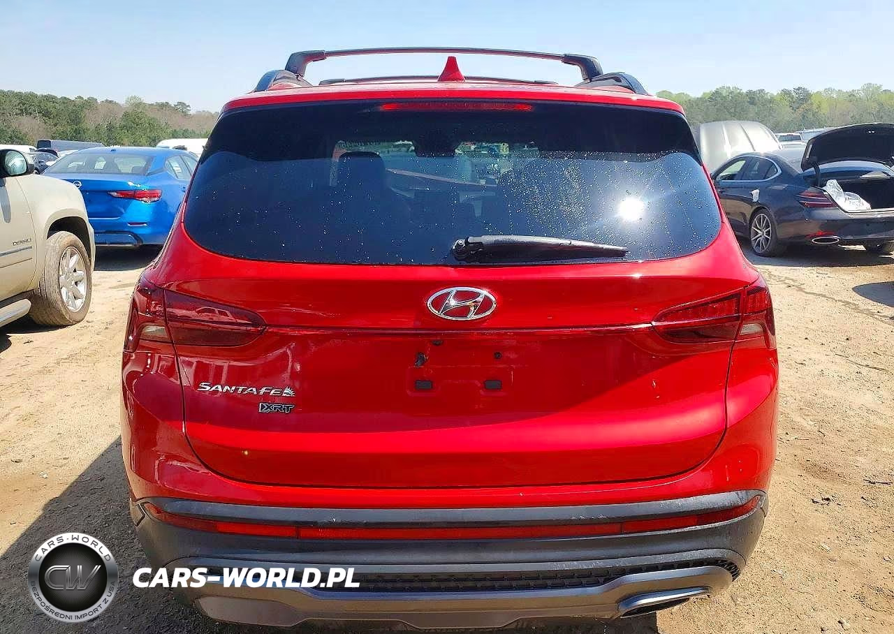 2023 Hyundai Santa Fe Xrt VIN:5NMS64AJXPH491791 - 6