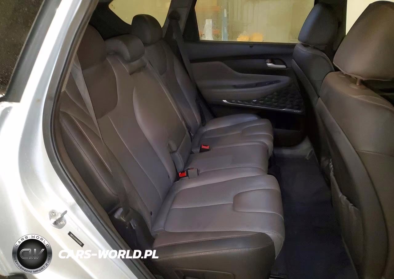 2019 Hyundai Santa Fe Ultimate 2.4L VIN:5NMS5CAD4KH004066 - 11