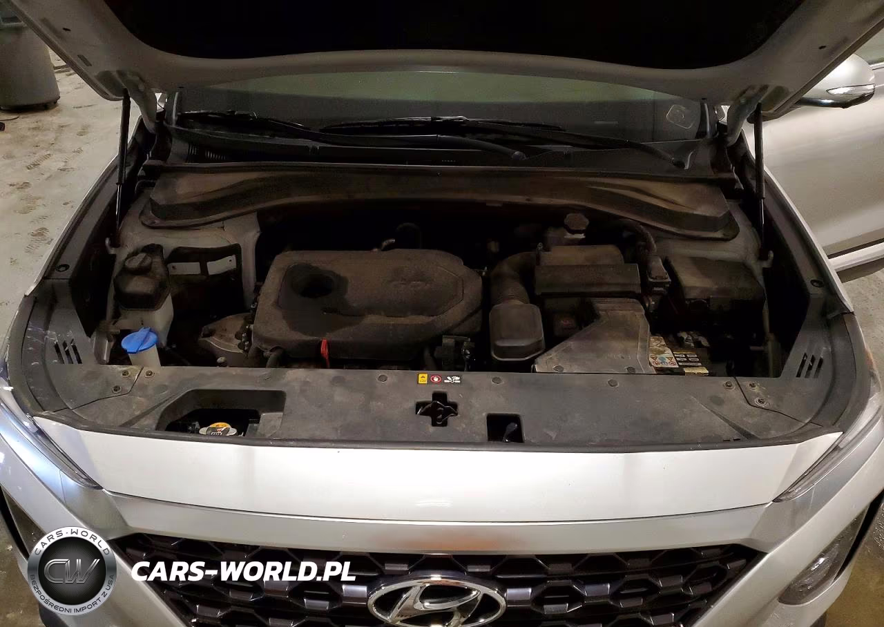 2019 Hyundai Santa Fe Ultimate 2.4L VIN:5NMS5CAD4KH004066 - 12