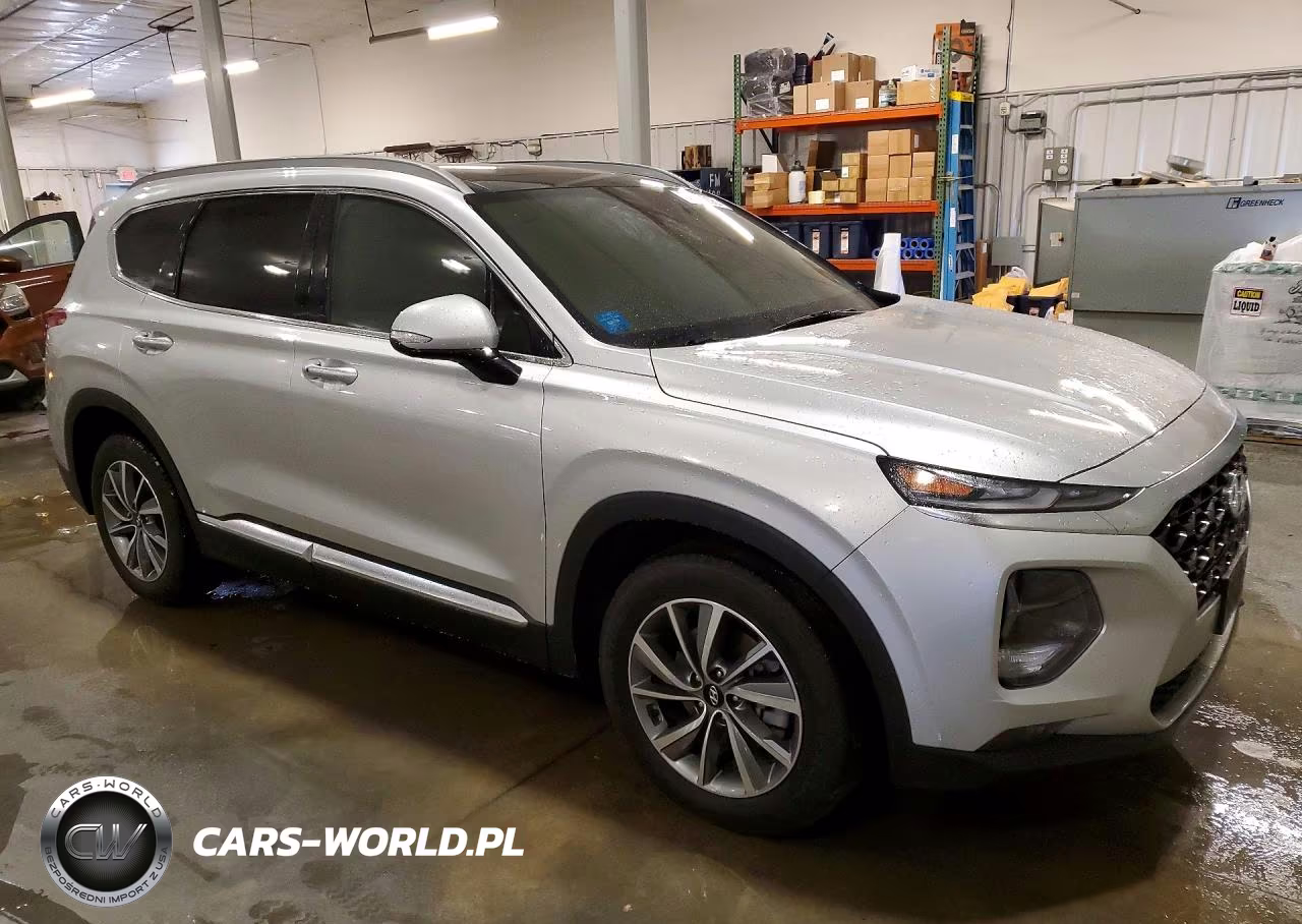 2019 Hyundai Santa Fe Ultimate 2.4L VIN:5NMS5CAD4KH004066 - 4