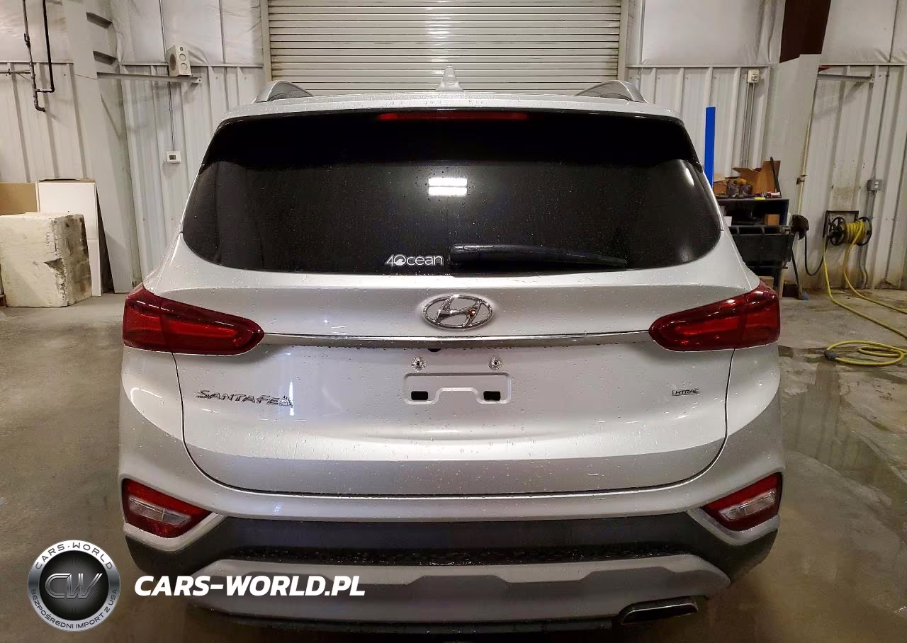2019 Hyundai Santa Fe Ultimate 2.4L VIN:5NMS5CAD4KH004066 - 6