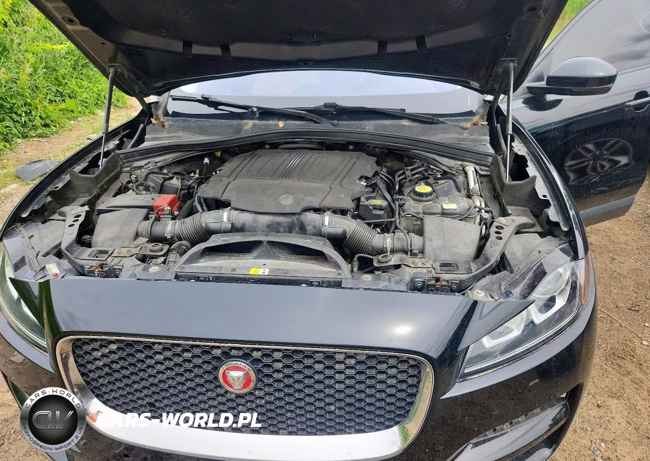 2017 Jaguar F-Pace VIN:SADCS2BV8HA061263 - 12