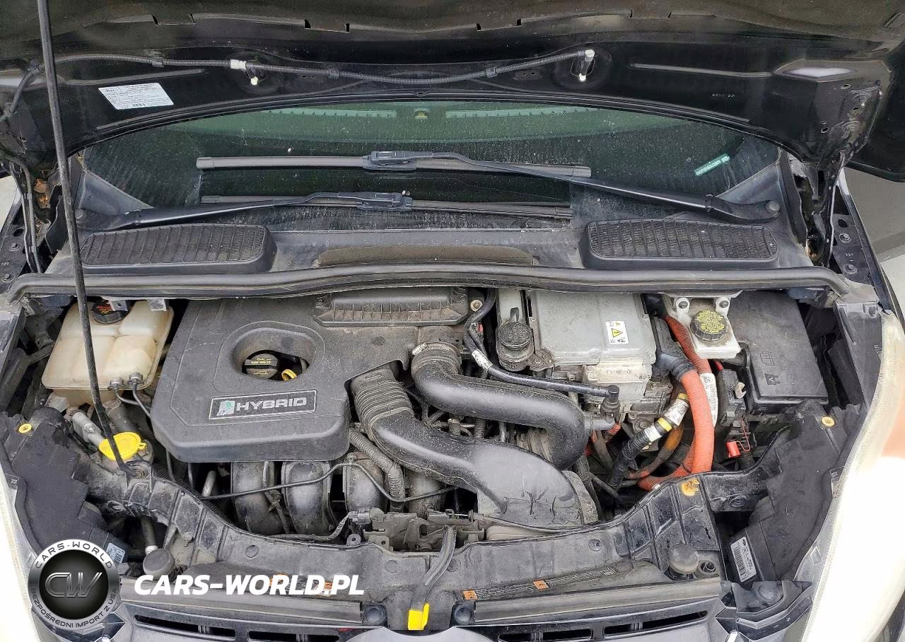 2013 Ford C-Max Sel VIN:1FADP5BU5DL533028 - 11