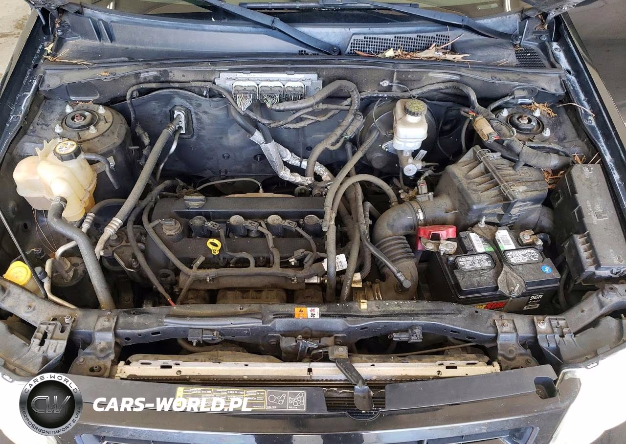 2011 Ford Escape Xlt VIN:1FMCU0D78BKA03899 - 12