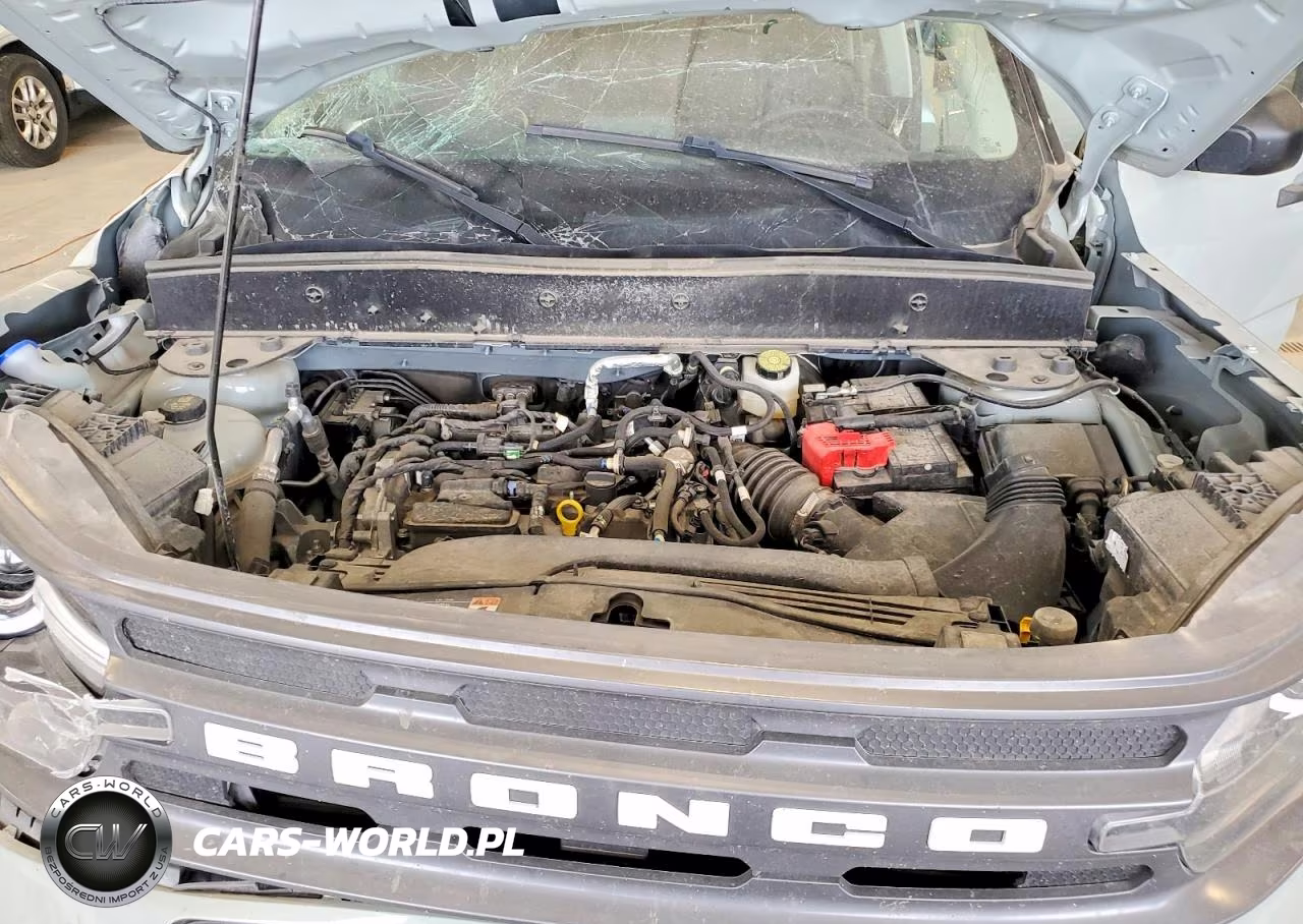 2024 Ford Bronco Sport Big Bend VIN:3FMCR9B60RRE04479 - 11