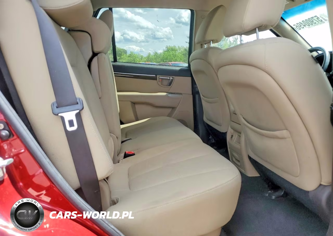 2010 Hyundai Santa Fe Gls VIN:5NMSG3AB9AH356986 - 11