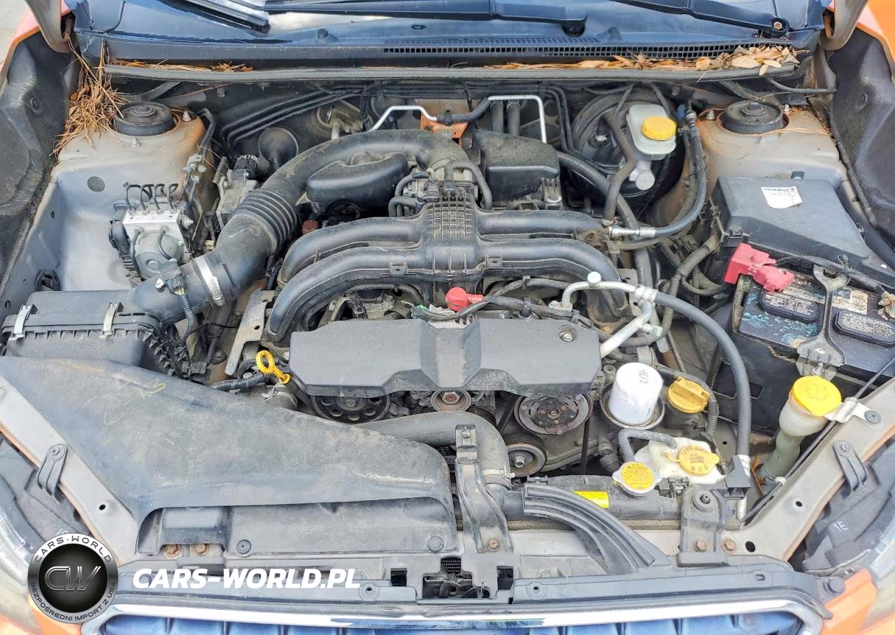 2013 Subaru Xv Crosstrek 2.0 Premium VIN:JF2GPAVC9D2870215 - 11