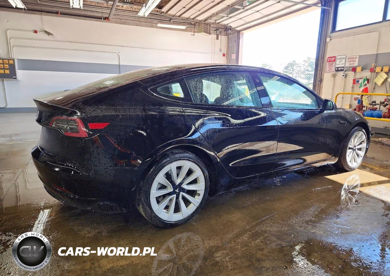 2022 Tesla Model 3 VIN:5YJ3E1EA9NF289202 - 3