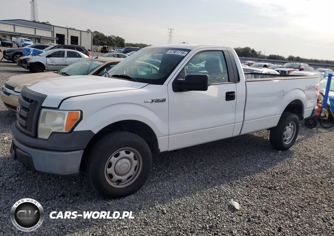 2010 Ford F150