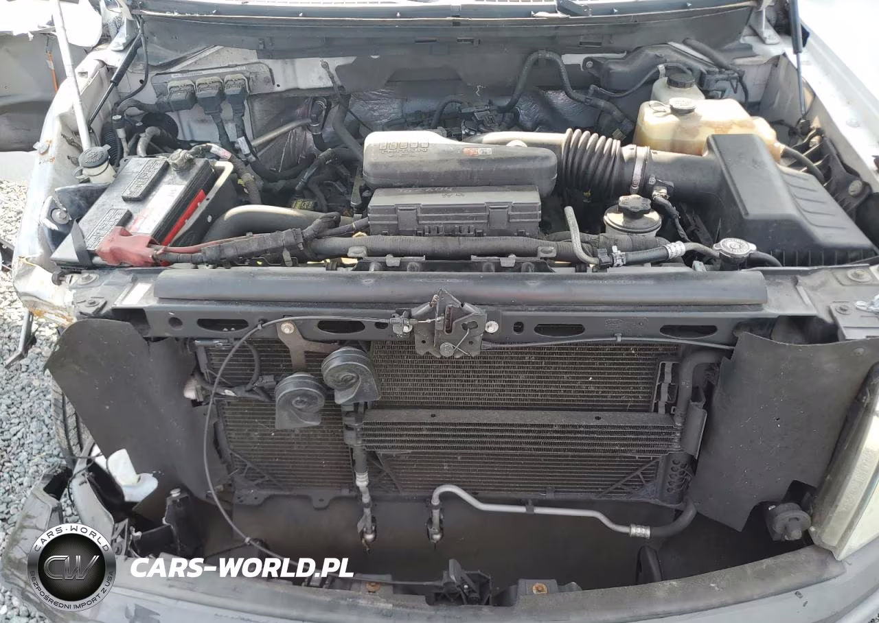 2010 Ford F150 VIN:1FTMF1EW4AKB37368 - 11
