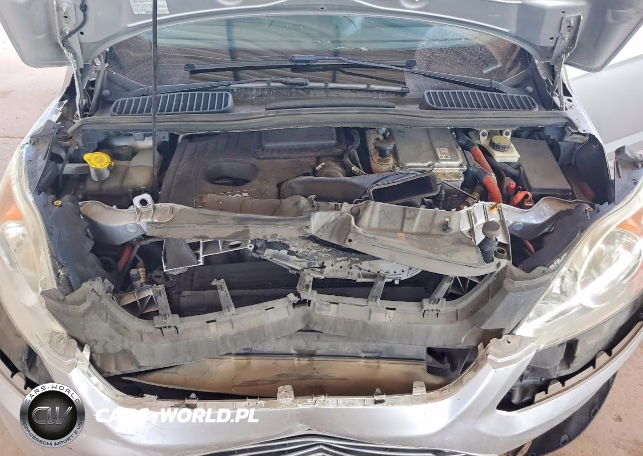2013 Ford C-Max Premium VIN:1FADP5CU3DL555303 - 11