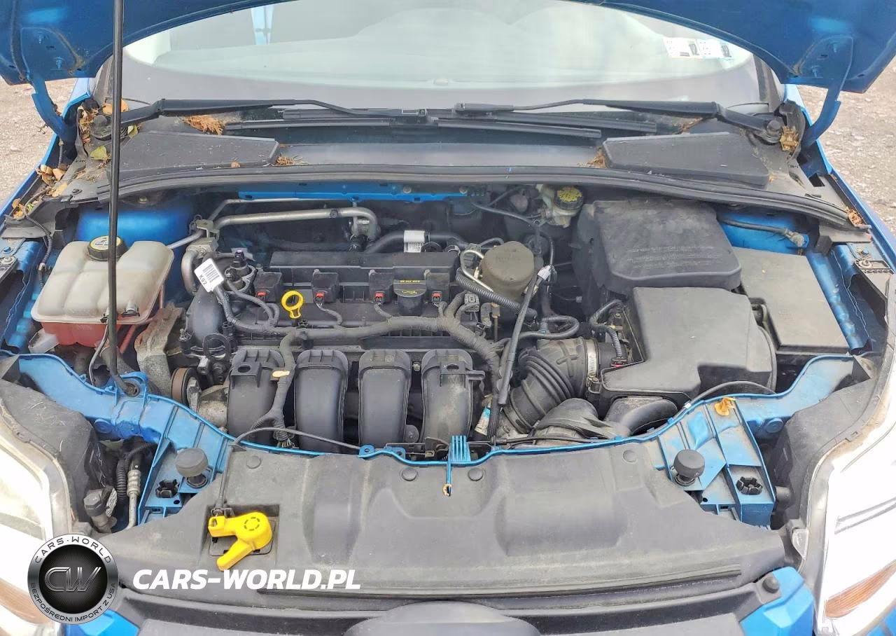 2013 Ford Focus Se VIN:1FADP3F27DL180417 - 11