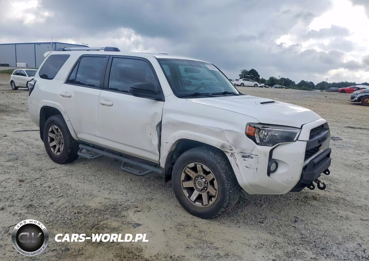 2016 Toyota 4Runner Trail VIN:JTEBU5JR4G5290114 - 4