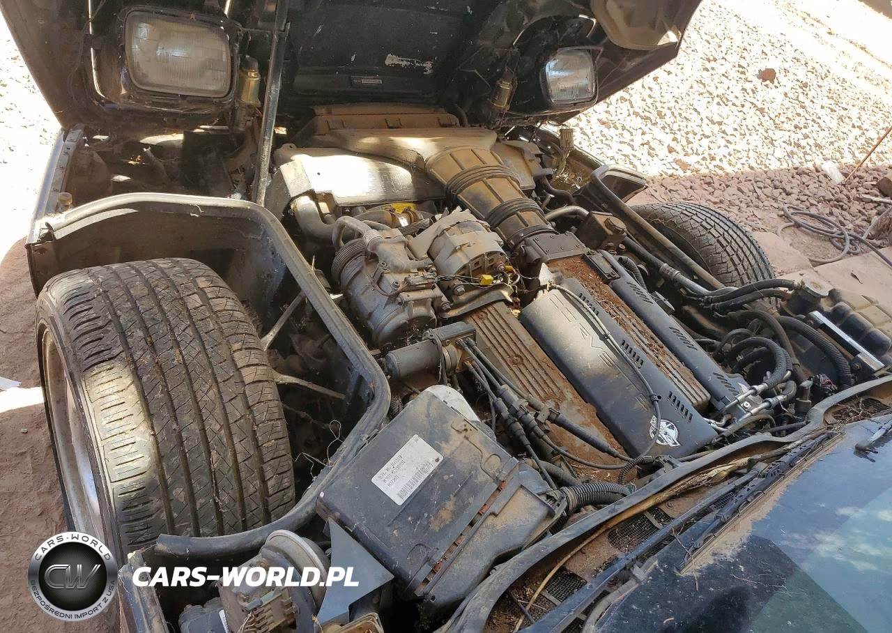 1992 Chevrolet Corvette VIN:1G1YY23P9N5106014 - 11