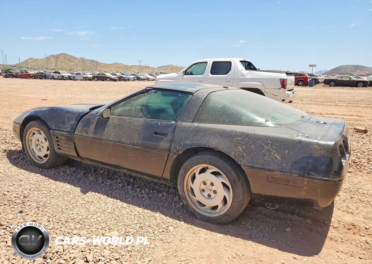 1992 Chevrolet Corvette VIN:1G1YY23P9N5106014 - 2