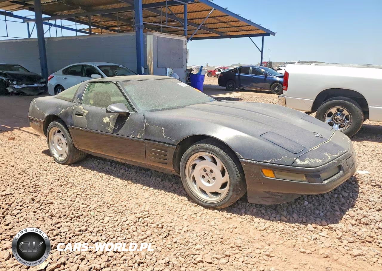 1992 Chevrolet Corvette VIN:1G1YY23P9N5106014 - 4