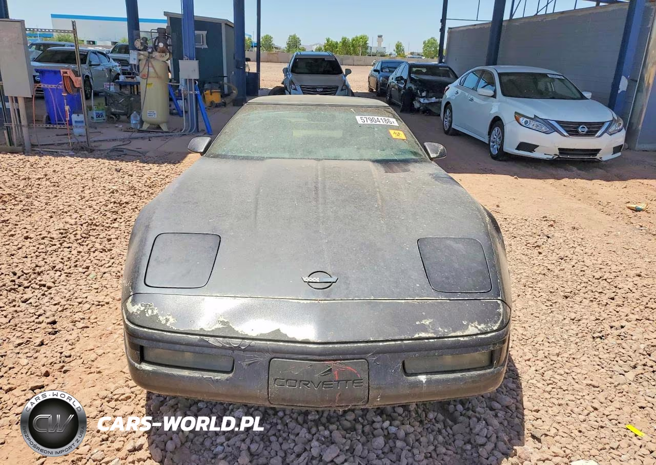 1992 Chevrolet Corvette VIN:1G1YY23P9N5106014 - 5