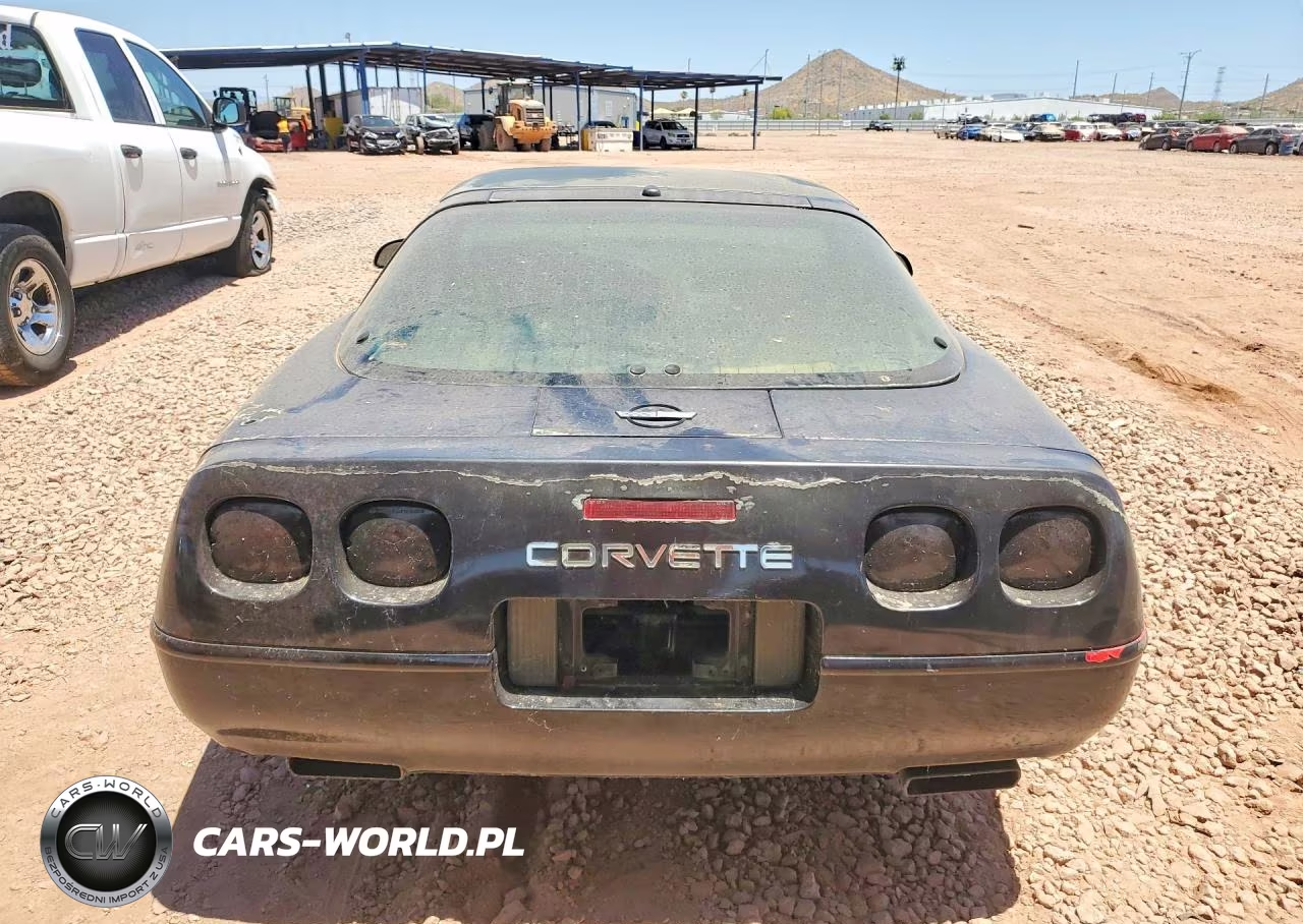 1992 Chevrolet Corvette VIN:1G1YY23P9N5106014 - 6