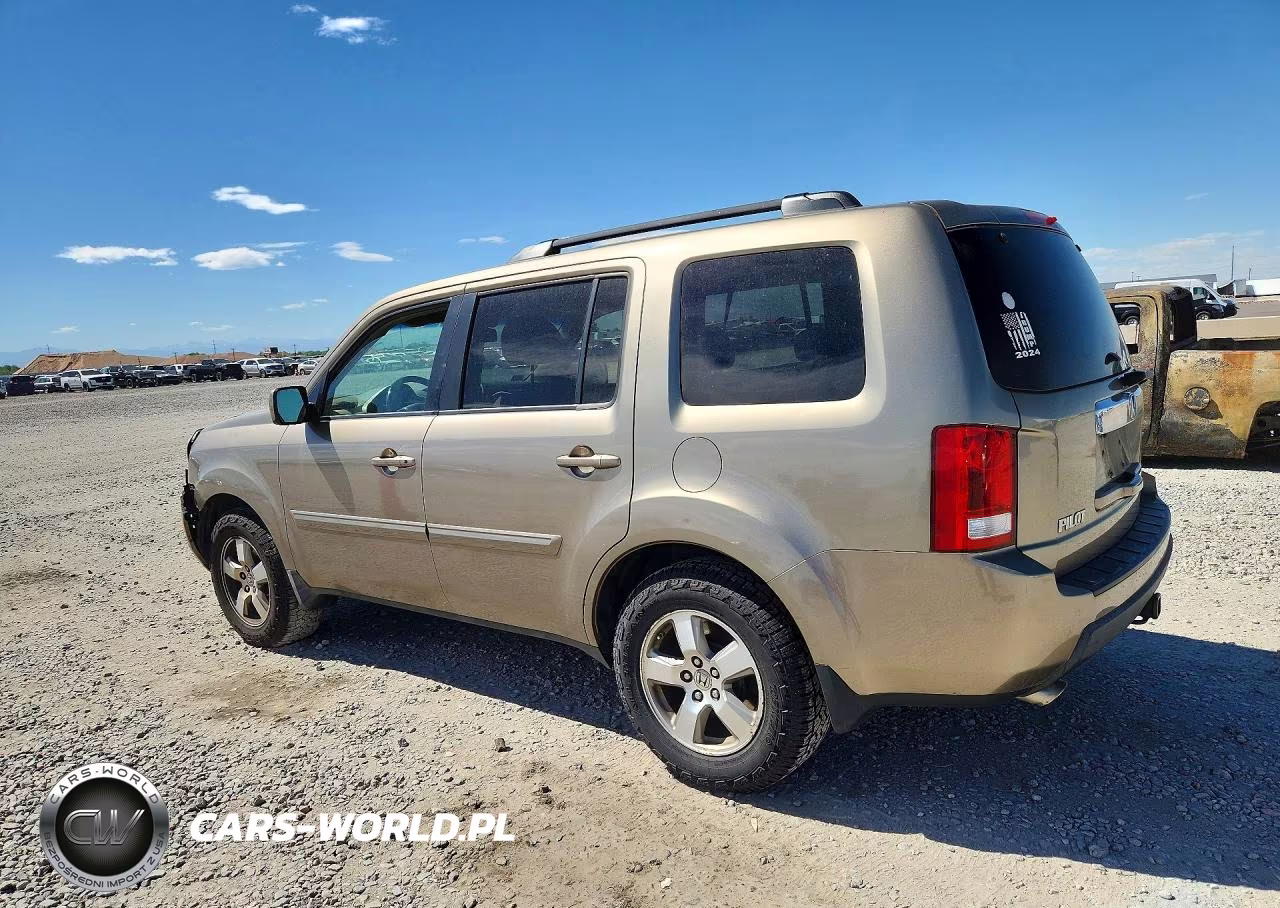 2009 Honda Pilot Exl VIN:5FNYF48699B022126 - 2